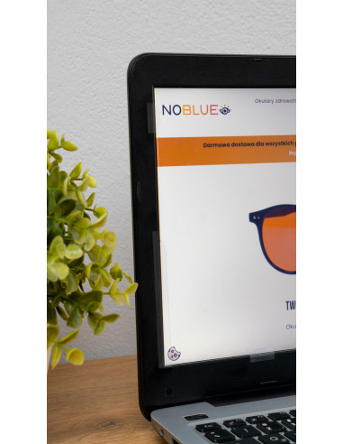 Filtr Światła Niebieskiego 17,3"