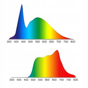 Zdrowa żarówka LED E27 Light