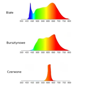 Lampka LED Noblue Black